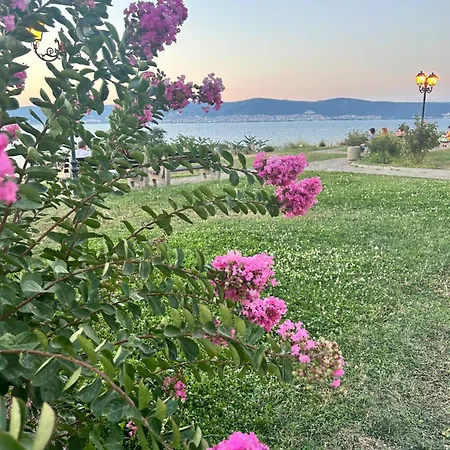 Sea Słoneczny Brzeg